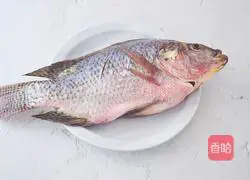 [Lantern Festival on the 15th day of the first lunar month] Illustration of home-style steamed tilapia 2