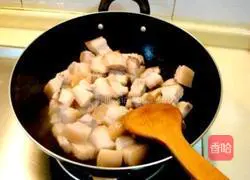 Braised Pork Recipe Illustration 2