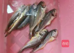 Illustration of how to make pan-fried small yellow croaker 1