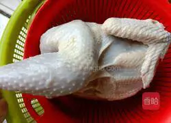 Huoshan Dendrobium Chicken Stew Illustration 1