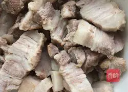 Illustration of braised meat and eggs 2