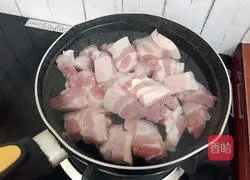 Illustration of Braised Pork Recipes 4