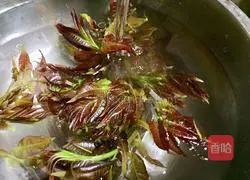 Illustration of how to bake goose eggs with chun bud 3