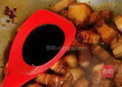 Braised Pork Recipe Illustration 6