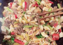 Illustration of Cumin Lamb Cat Ears 17