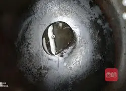 Illustration of how to cook pork with winter vegetables 4