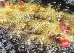 Illustration of Crispy Spare Ribs 13