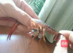 Illustration of how to make steamed crayfish 3