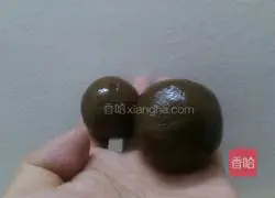 Lemon Duck Recipe Illustration 2