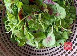 Illustration of how to make spicy stir-fried amaranth 1