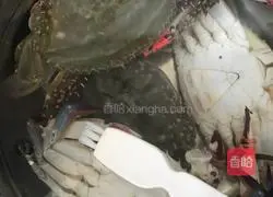 Illustration of steamed flying crabs 2