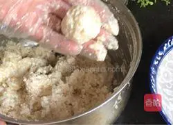 Illustration of how to make winter melon meatballs 14