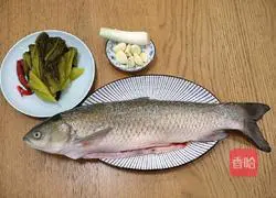 Illustration of how to make pickled fish 1