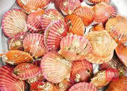 Illustration of how to make garlic vermicelli scallops 1