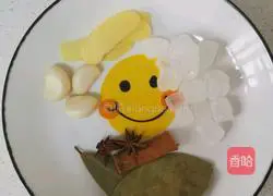 Illustration of home-cooked braised pork 2