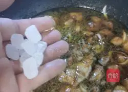 Braised Pork (Newbie Xiaobai's Quick Recipe Illustration 10)