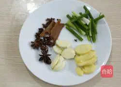 Illustration of braised beef brisket with carrots 3