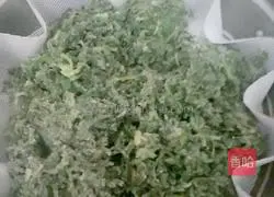 Illustrations of new ways to eat local vegetables (shepherd's purse) 5