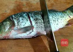 Illustration of how to make sweet and sour carp 2