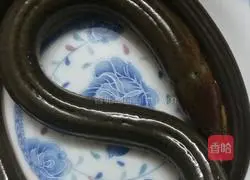 Illustration of how to steam wild eel and loach 1