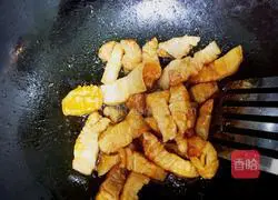 Braised pork recipe 5