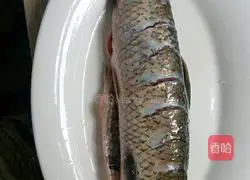 Braised fish recipe 1