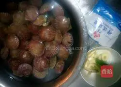 Illustration of how to make delicious scallops 1