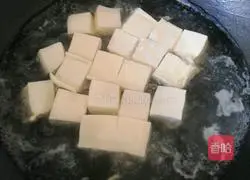 Homemade Mapo Tofu Recipe Illustration 3