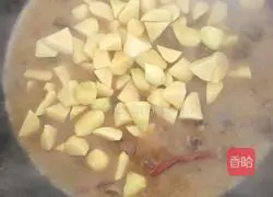 Illustration of how to stew goose in iron pot 9