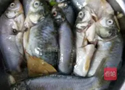 Illustration of how to make fried crucian carp 2
