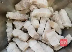 Illustration of home-cooked braised pork 4