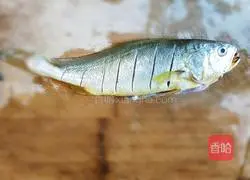 Illustration of Braised Yellow Croaker 1