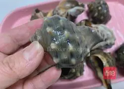 Illustration of how to steam conch 2