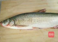 Illustration of how to open a peacock's tail 1