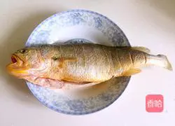 Illustration of Braised Yellow Croaker 2