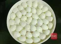 Illustration of how to make braised vegetable bento 4