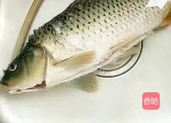 Illustration of how to make a fish out of water 1