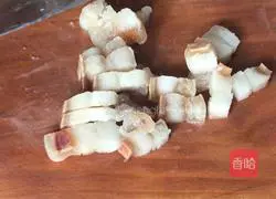 Illustration of steamed lotus root 2