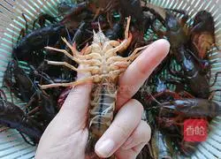 Illustration of how to make spicy crayfish 2