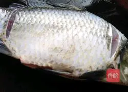 Illustration of braised crucian carp in braised soil 3