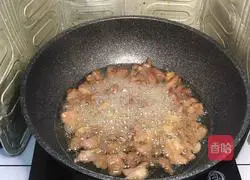 Cumin Lamb Recipe Illustration 13