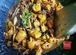 Illustration of braised chicken with tea tree mushroom 7