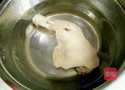 Illustration of home-style shredded chicken 5