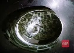 Teriyaki duck legs Practice illustration 4