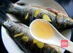 Illustration of braised crucian carp 6