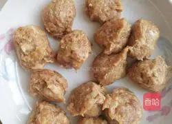 Pork meatballs Practice illustration 2