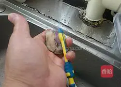 Illustration of how to make steamed abalone 2