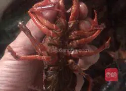 Steamed shrimps with garlic paste Illustration of how to do it 1