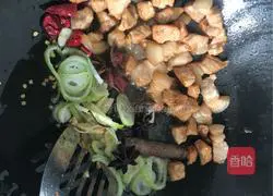 Illustration of how to make braised pork 4