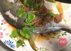 Cantonese style - Steamed Golden Pomfret with Sour Plums Illustration 5